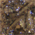 Hematite